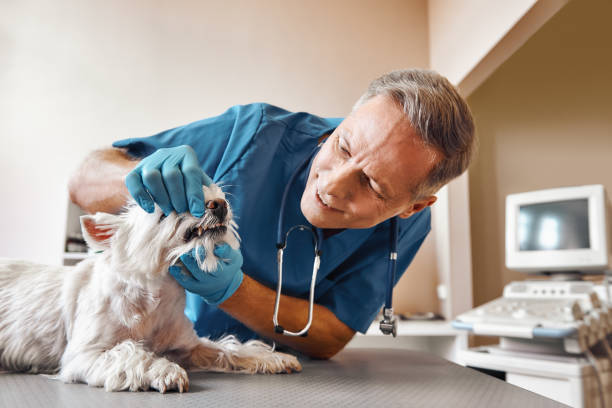 Best Weekend Emergency Dentist in Antigo, WI